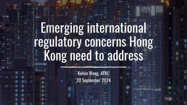 主席黄天祐博士于香港公司治理公会公司治理研讨会2024的发言简报 (仅英文版本)封面